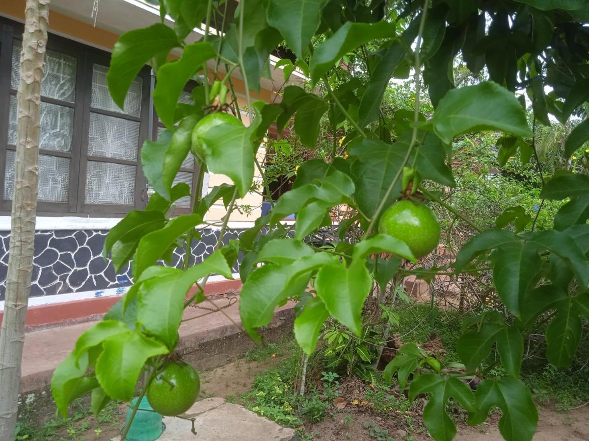 Sanaya Homestay Tangalle Exteriér fotografie